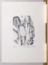 Serigraphie von Siegward