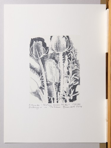 Serigraphie von siegward - von,
