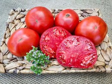 Oma's beste Fleischtomate