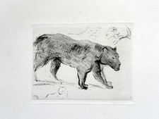 "Schwarzer Panther". Radierung