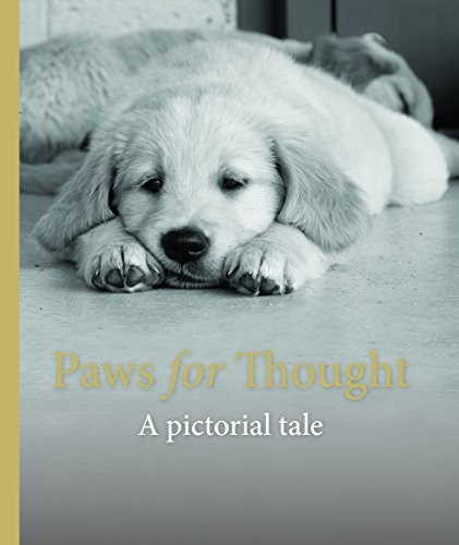 Paws for thought - paws,