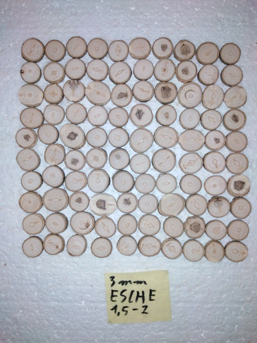 100 baumscheiben esche - 100,