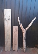 3 XL Treibholz Schwemmholz