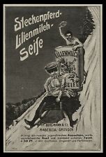 Alte Werbung Reklame 1909 Steckenpferd-Lilienmilch-Seife (4) Schlitten Radebeul