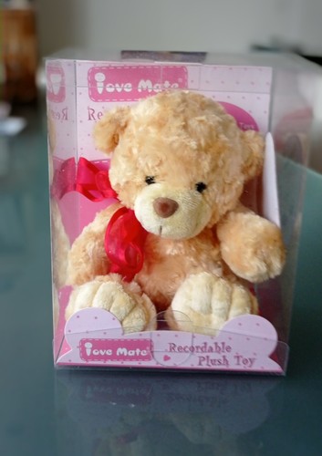 Süßer sprechender teddy - sprechender,