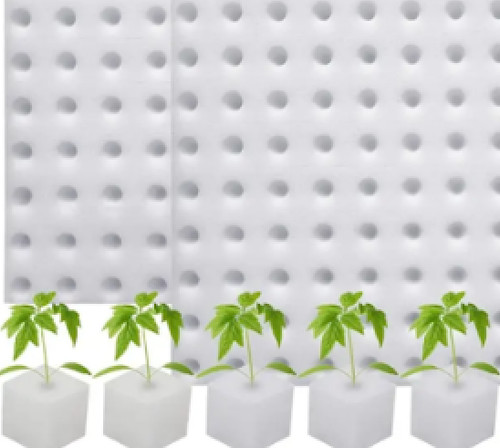 Hydroponic pflanzwürfel - hydroponic,