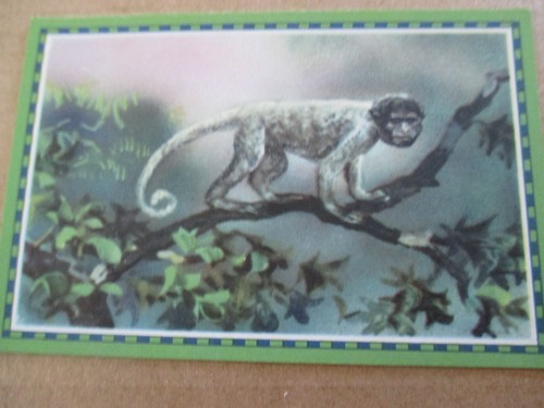 Bild chlorodont süd - , 1.bild