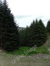 Foto 12x8 Blick nach Westen
