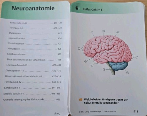 Thieme neuroanatomie - thieme,