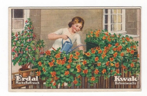 523 sammelbild erdal - 20/523,