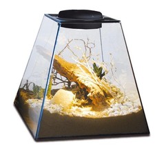 Lucky Reptile Life Pyramide