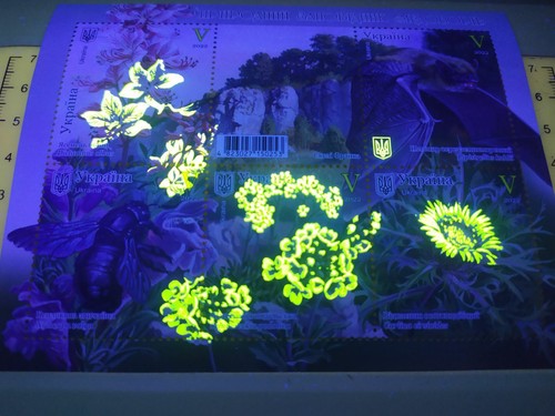 Ukraine 2022 fauna - 2022,