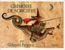 Grimoire sorcière - le,