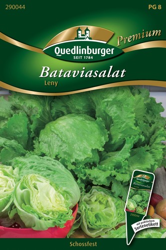 Batavia salat leny samen von - batavia-salat,