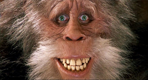 Dvd box bigfoot und die - box,