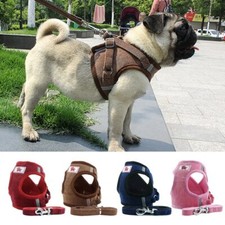 Katzengeschirr Mit Leine