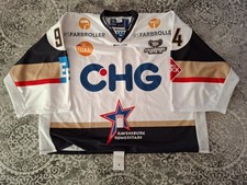 Ravensburg Towerstars