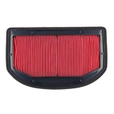 Luftfilter für Triumph Tiger