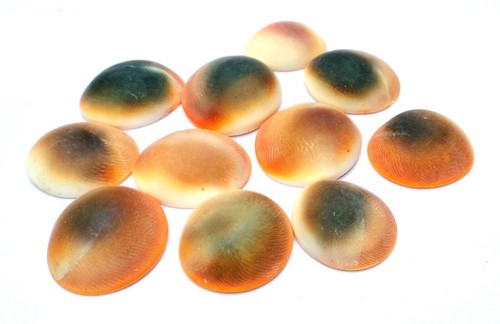 Gomati chakra stück - 12,
