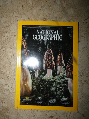 National geographic english - national, geographic,