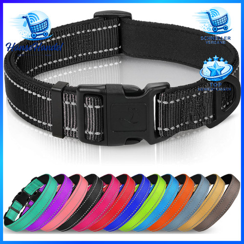 Halsband hund gepolstert - hund,