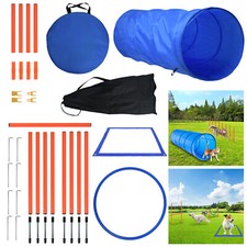 Agility Training Set für