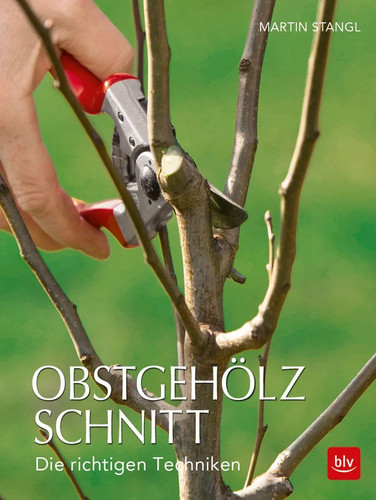 Obstgehölzschnitt die - |,