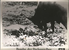 AF Bomba, der Dschungelboy