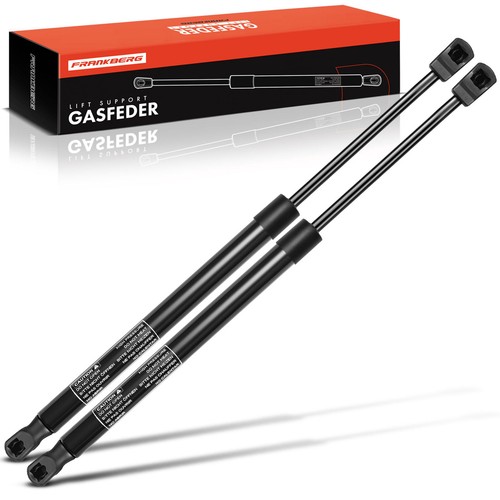 Gasfeder - 2x,