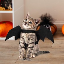 Haustier Fledermausflügel