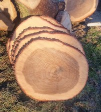 Holzscheibe eiche 60cm - eiche, 50-60cm