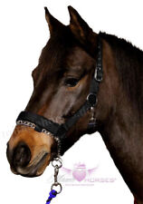 Nylonhalfter mit Kette Halfter schwarz integrierte Führkette Pony Cob Full XL