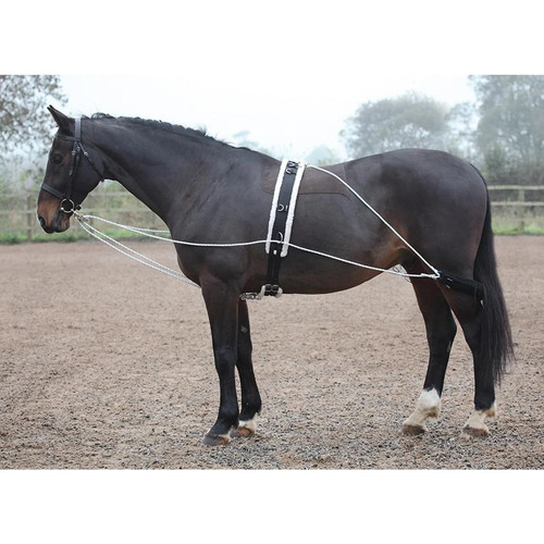 Shires longierhilfe - shires,