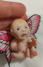 Eiche Baby Schmetterling