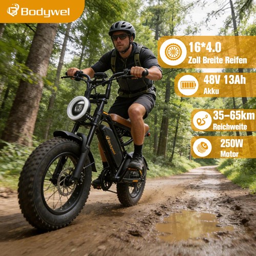 Bodywel m16 bike 250w - bodywel,