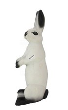 WHITE HARE 3D