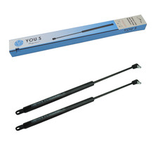 Gasfeder für Fritzmeier Euro