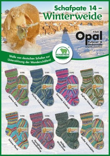 100 opal sockenwolle fach - 100,