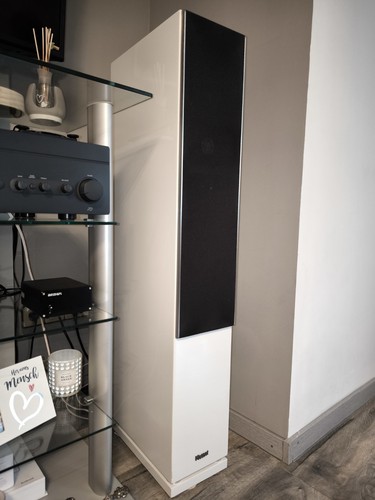 Magnat quantum 807 - quantum,