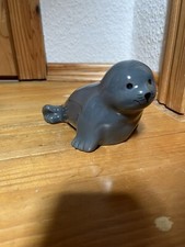 Robbe Sparschwein Meer Seehund Maritim Heuler