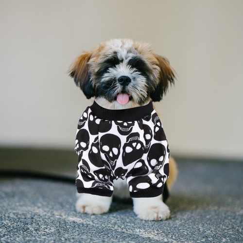 Hunde-schlafanzüge
