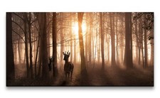 120x60cm Leinwandbild Rehe