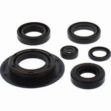 6x Motor Simmerringe OSL-105