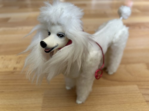 Barbie hund pudel - pudel, mylord