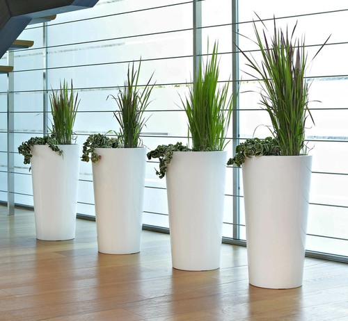 Blumentopf mit einsatz - mit,