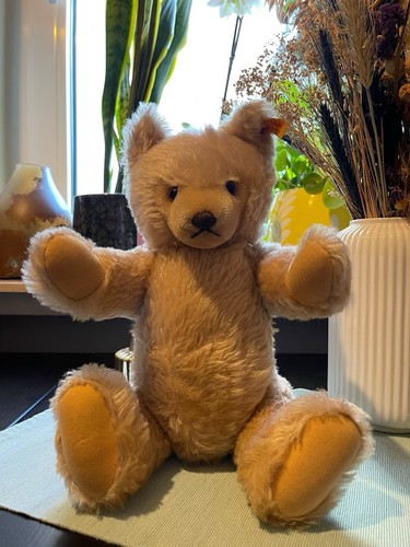 Steiff teddybär mit - teddybär,