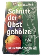 Obstgehölze Schnitt Garten