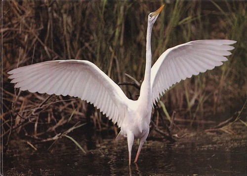 Naturfotografie jahrbuch - naturfotografie,