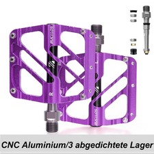 Mountainbike Fahrrad 3 Lager