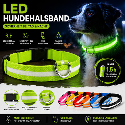 Leuchthalsband für hunde - leuchthalsband,